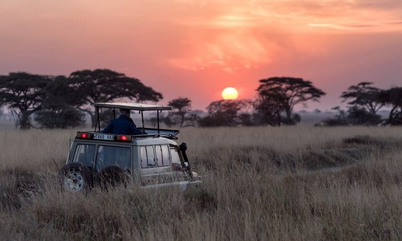 Conseils pour préparer un safari en Afrique