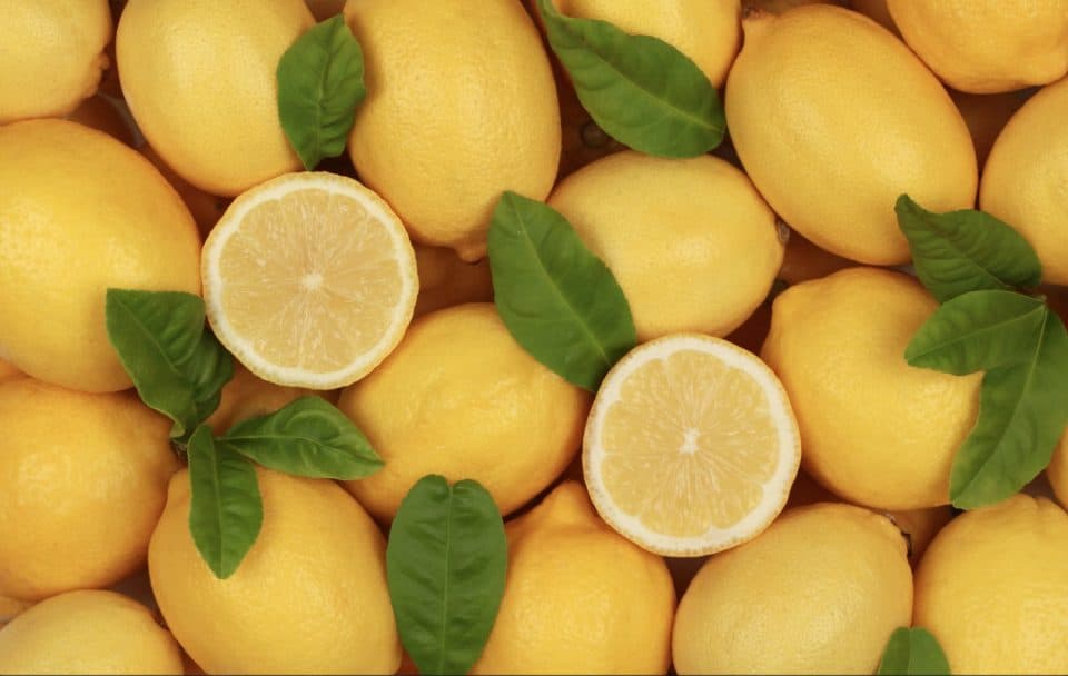 Inconvénients du citron