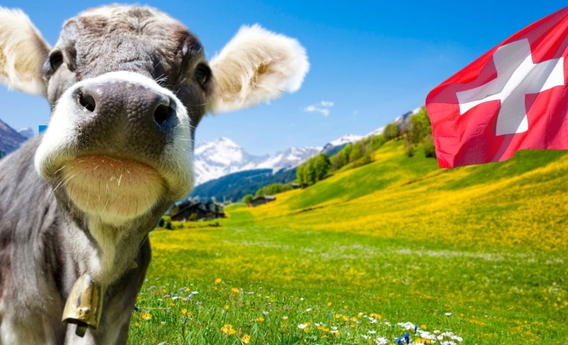 travailler en suisse