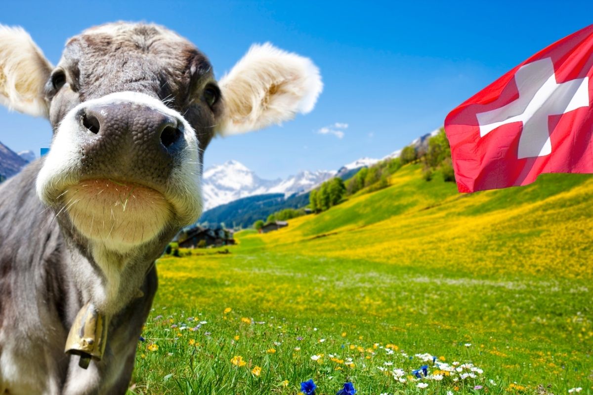 travailler en suisse